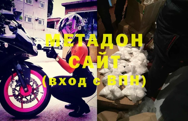 прущие грибы Арсеньев