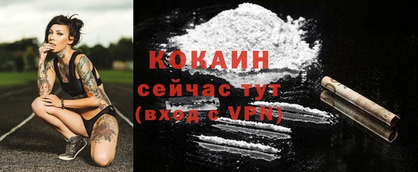 прущие грибы Арсеньев